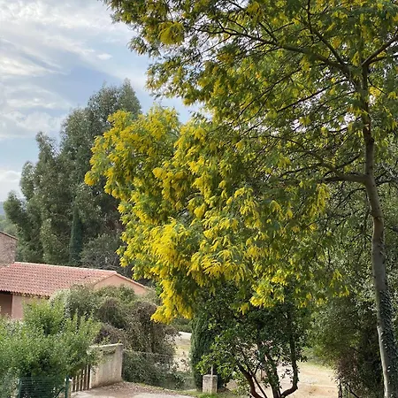 Villa Les Arbousiers - Climatisee Avec Piscine, Au Calme *