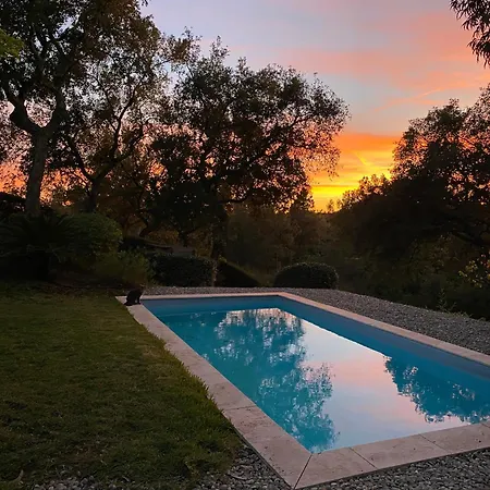 Les Arbousiers - Climatisee Avec Piscine, Au Calme * La Londe-les-Maures